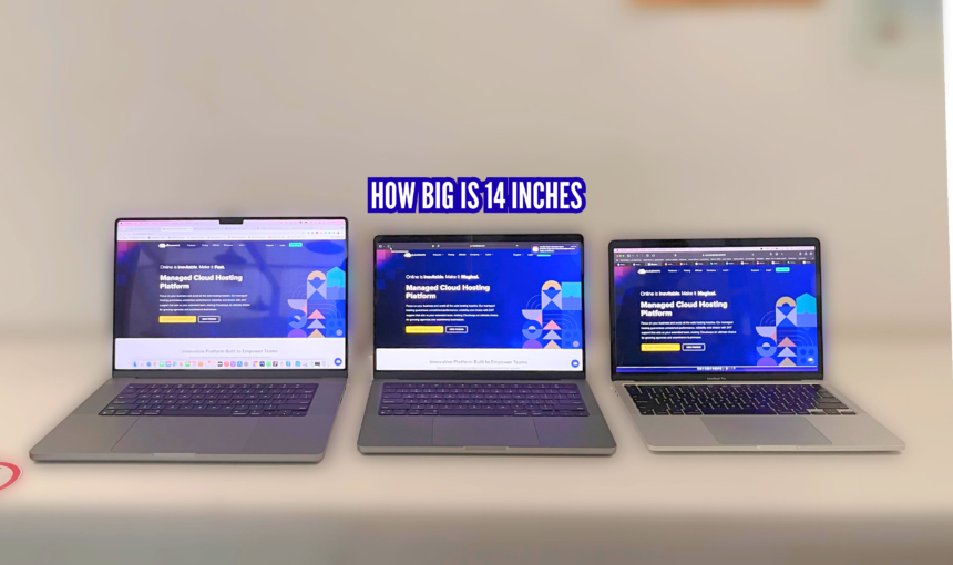 How Big is 14 Inches How Big is 14 Inches