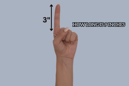 How Long Is 9 Inches
