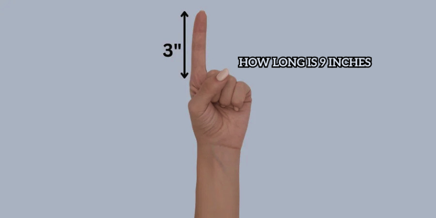 How Long Is 9 Inches How Long Is 9 Inches