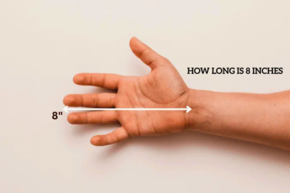 How Long is 8 Inches