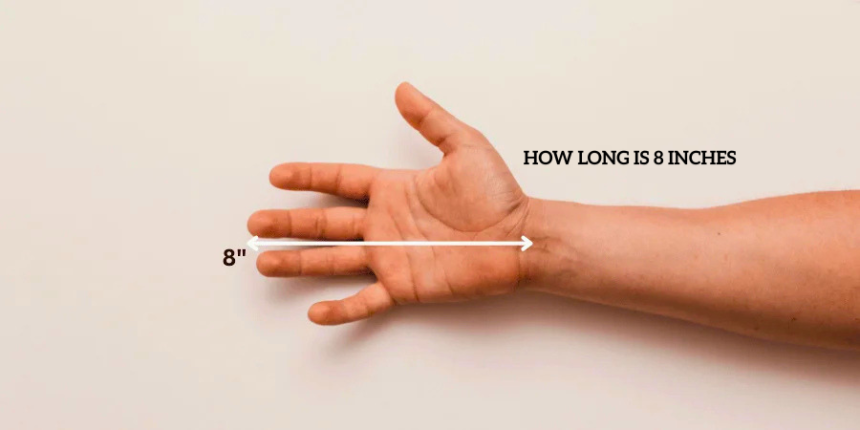 How Long is 8 Inches How Long is 8 Inches