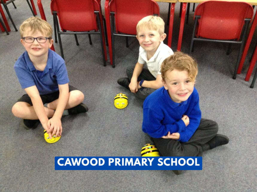 cawood primary school cawood primary school