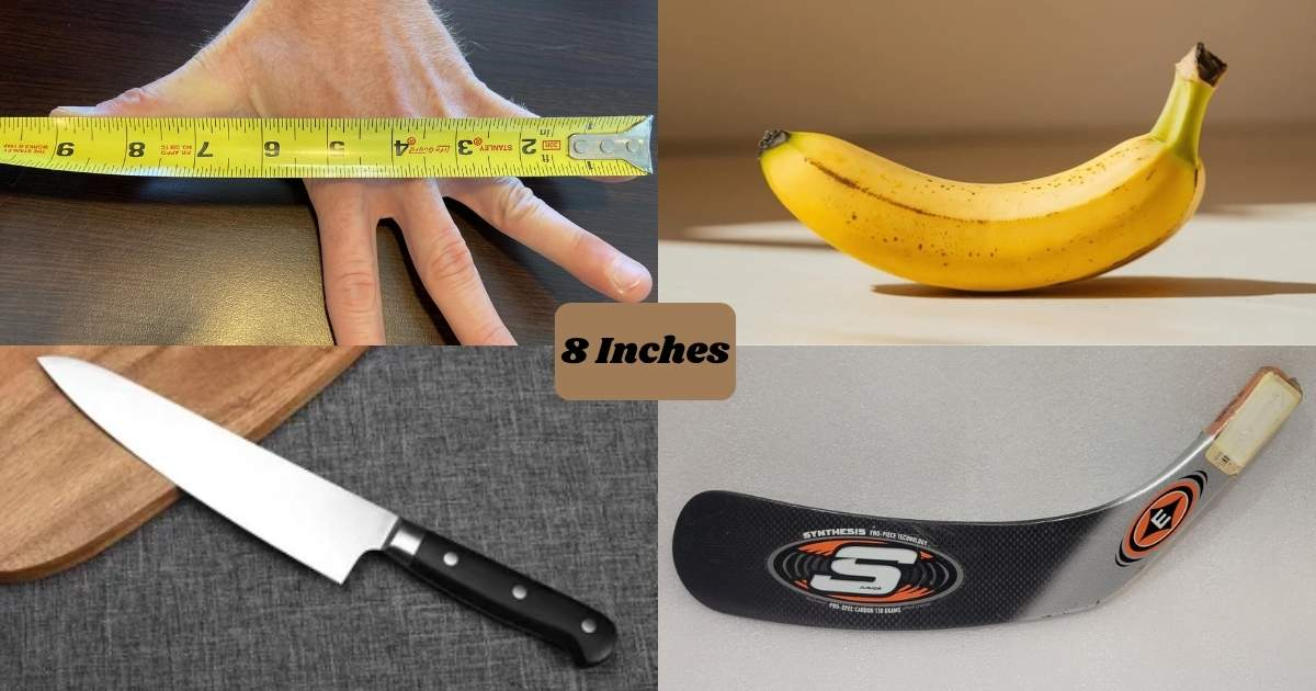 How Long is 8 Inches How Long is 8 Inches